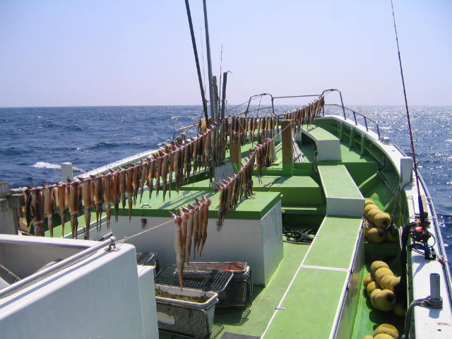 スルメイカ釣りのポイント