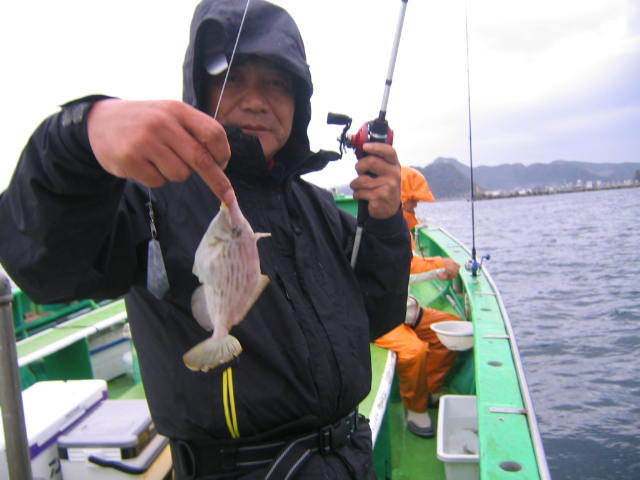 カワハギ釣りのポイント