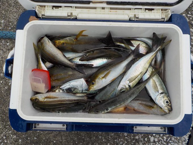 マアジ＆イサキリレー船