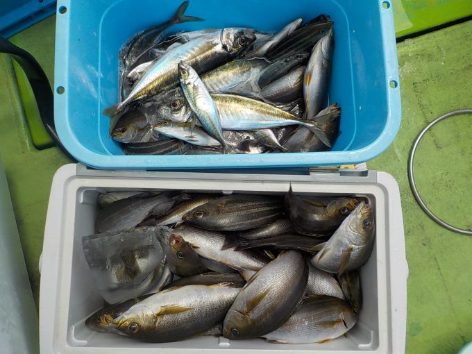 マアジ＆イサキリレー船