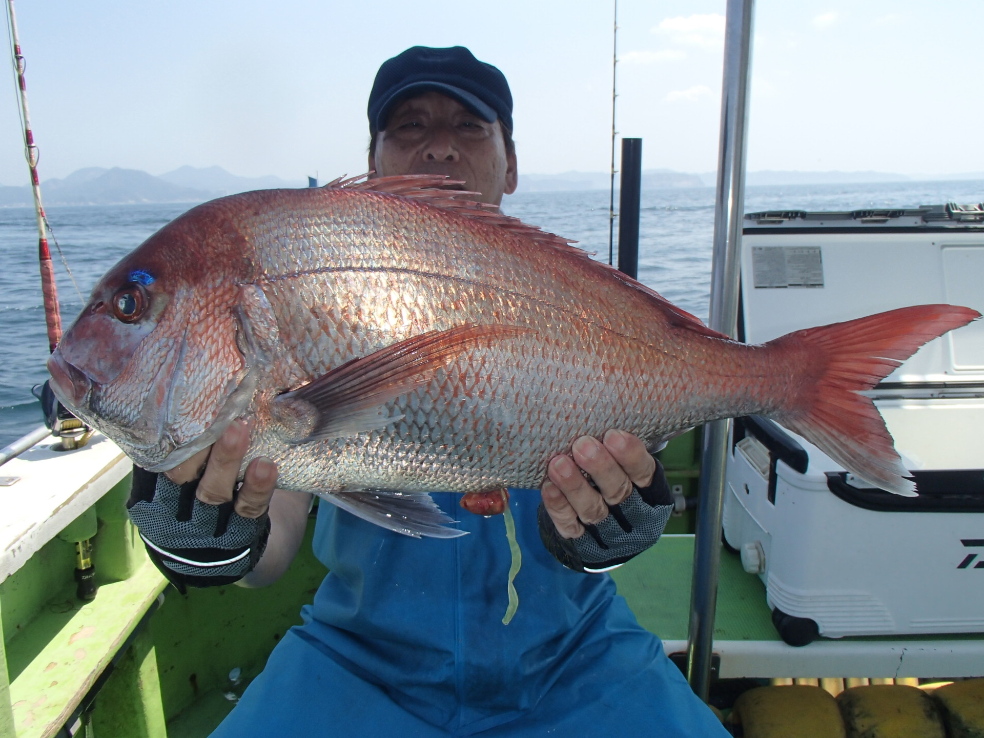 マダイ＆ワラサ船